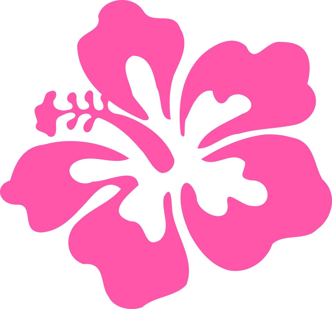 ¿Qué es y para qué sirve el hibisco?