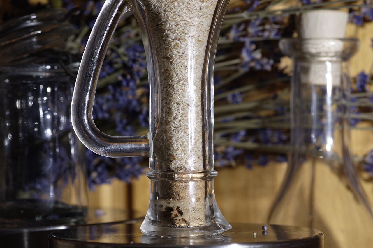 ¿Qué es el psyllium y dónde se consigue?