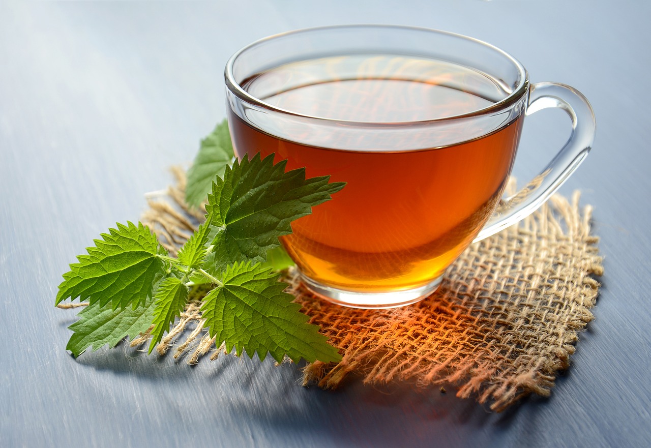 ¿Cuánto tiempo se puede tomar el té de ortiga?
