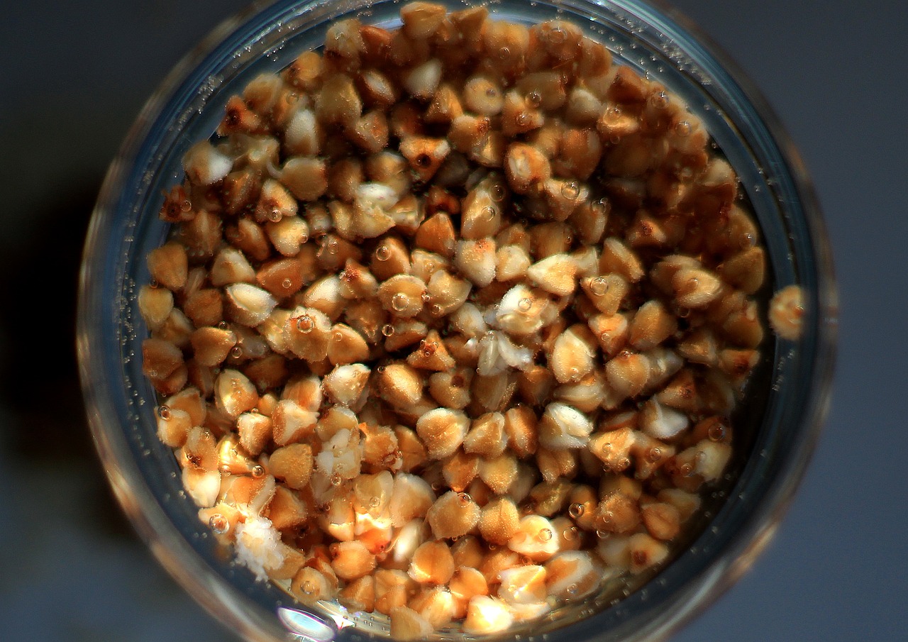 ¿Cómo es el grano de trigo sarraceno?